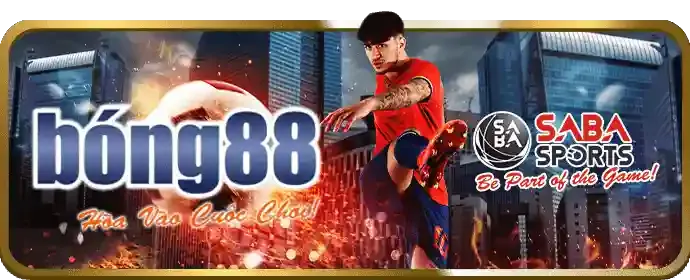Ưu đãi đặc biệt cho các sự kiện thể thao lớn và thành viên VIP